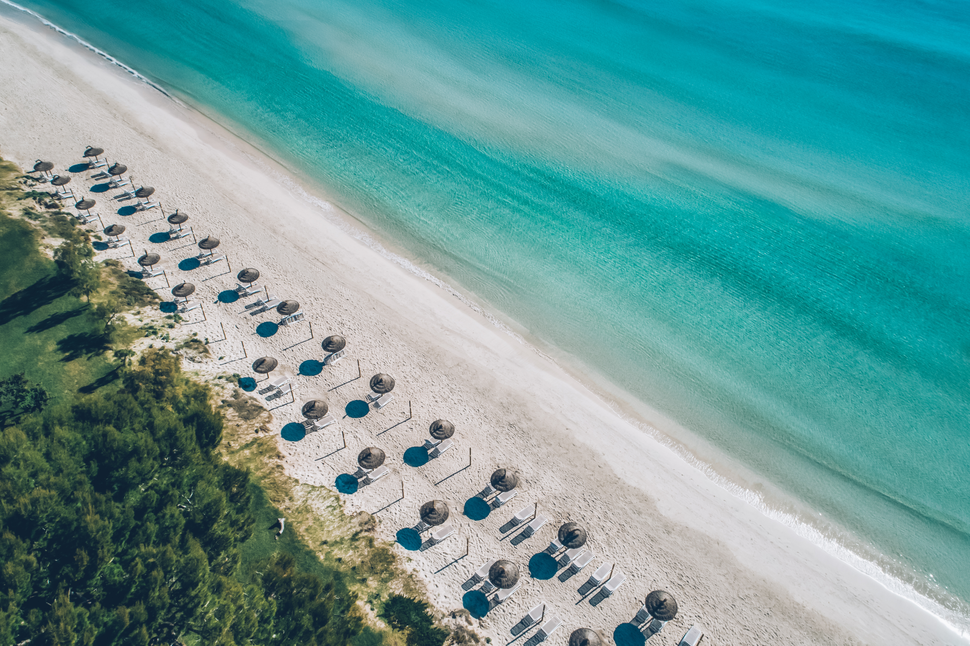 Aerial View of Empty Beach with Straw Umbrellas