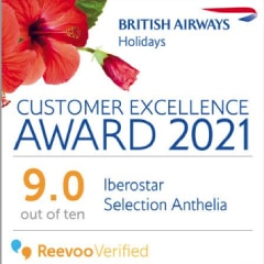 Customer Excellence Award 2021 certificate graphic