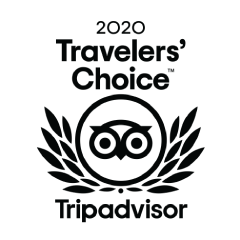 2020 Travelers' Choice Tripadvisor award emblem