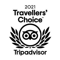 2021 Travellers' Choice Tripadvisor award emblem