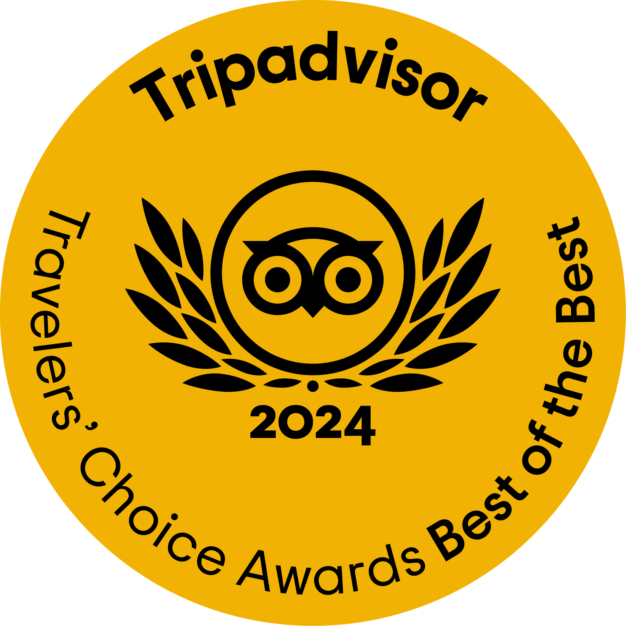 Tripadvisor Travelers Choice Awards 2024 badge