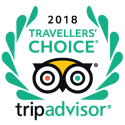 Owl icon with circular glasses design